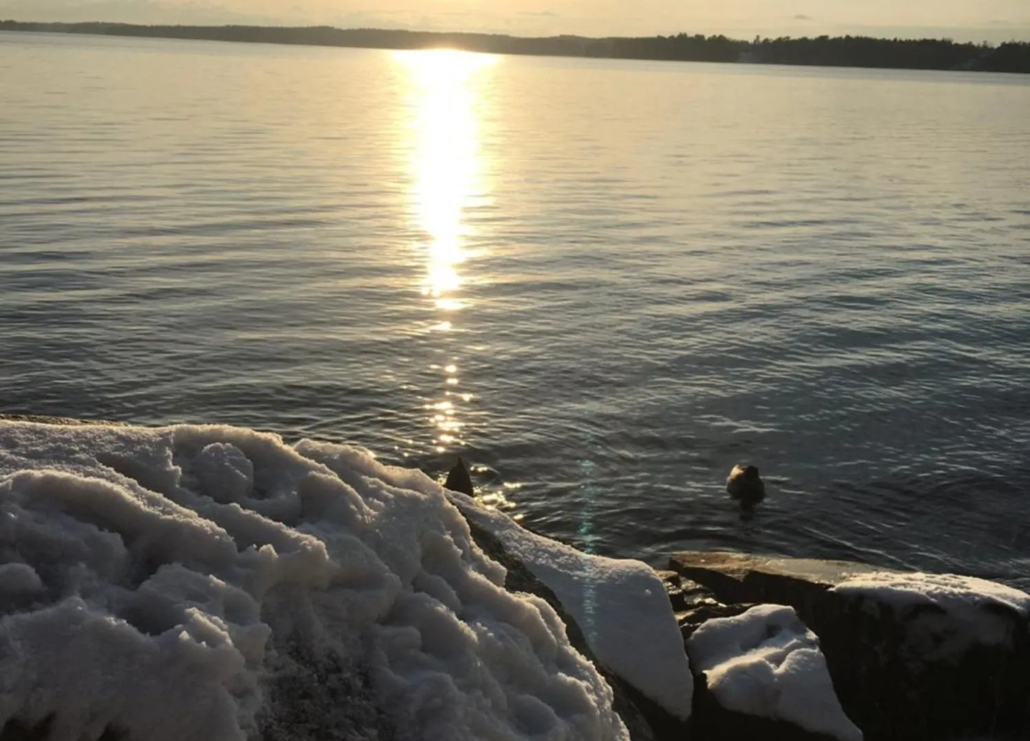 Riddersviks Herrgard Stockholm